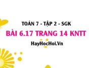 Bài 6.17 trang 14 Toán 7 Tập 2 Kết nối tri thức